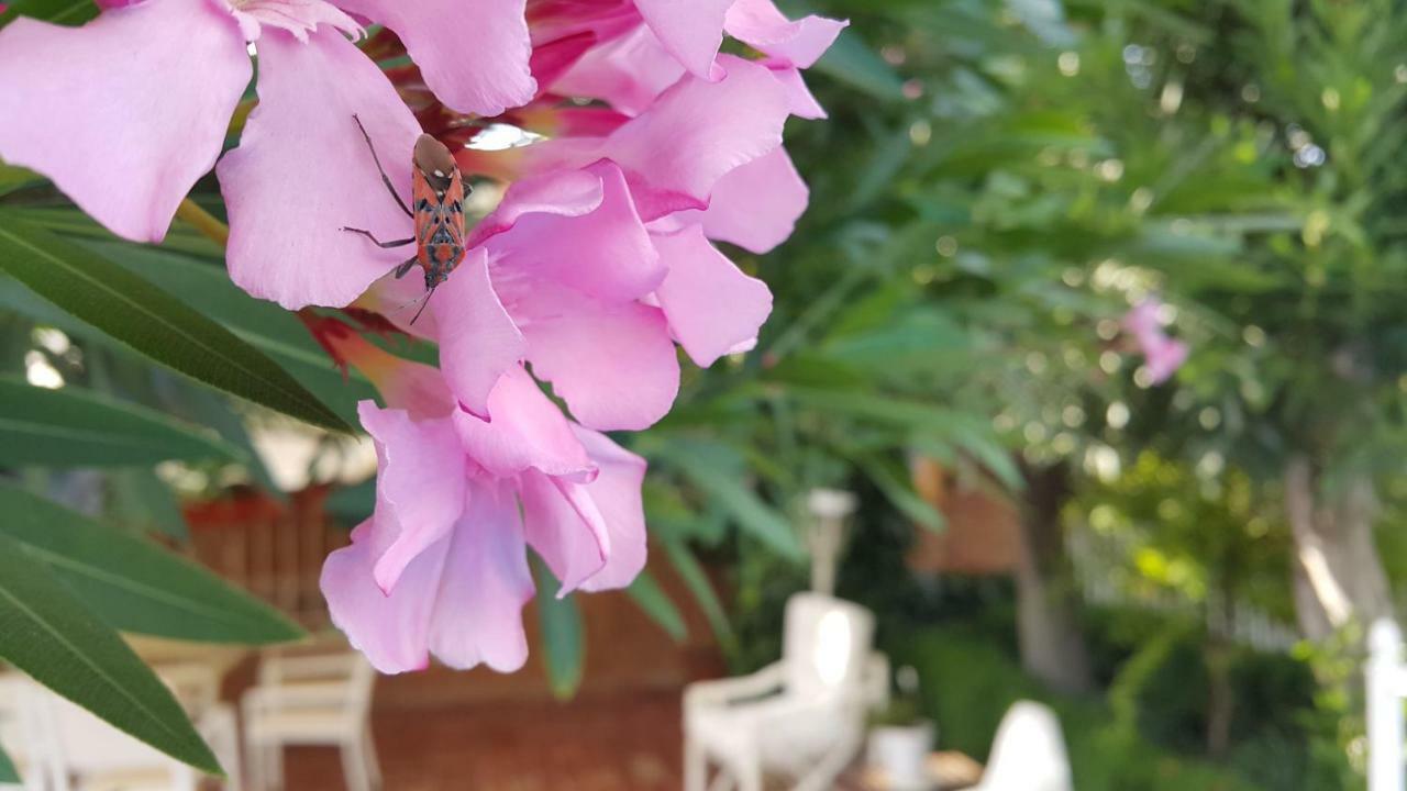 Вилла El Jardin De La Abuela Гранада Экстерьер фото